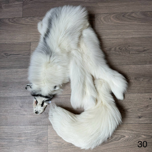 Arctic Marble fox pelt (30)