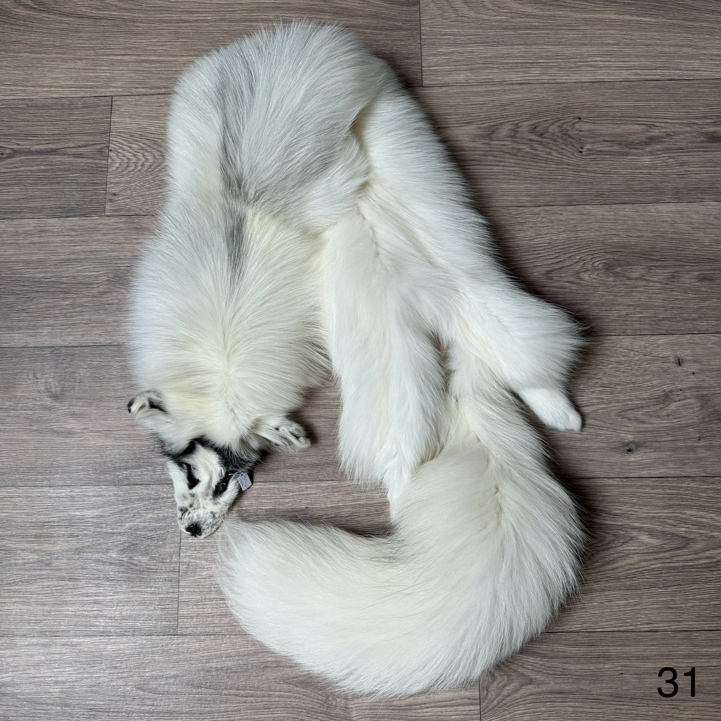 Arctic Marble fox pelt (31)