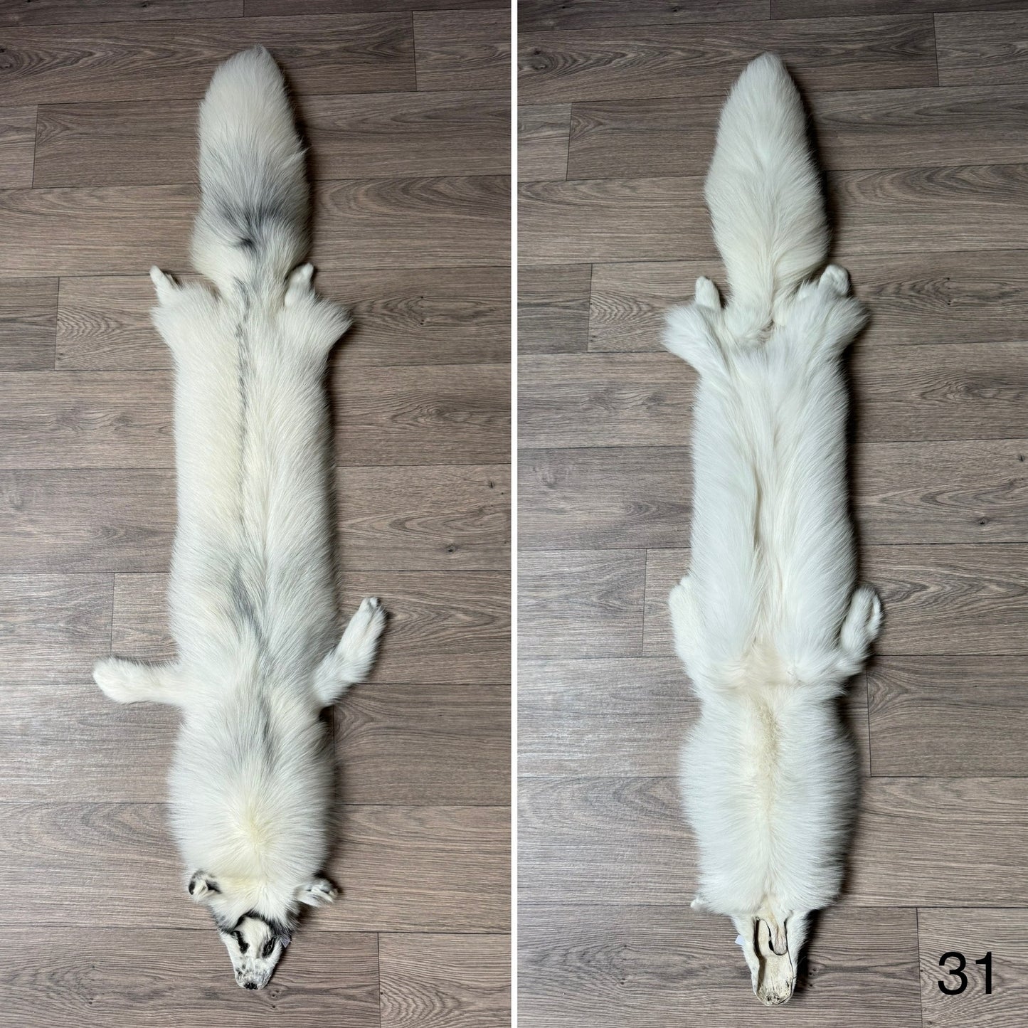 Arctic Marble fox pelt (31)