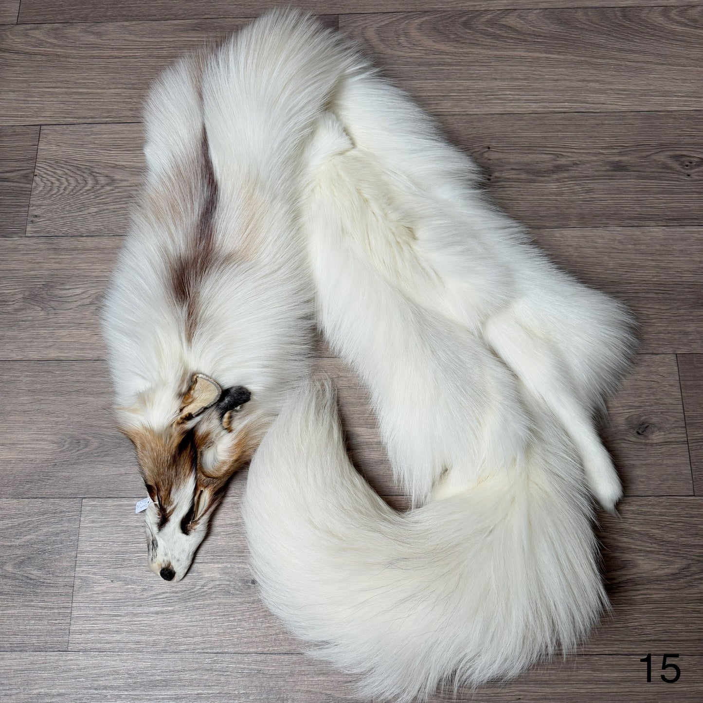 Sun Glow fox pelt (15)