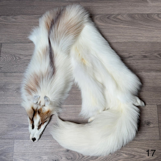 Sun Glow fox pelt (17)