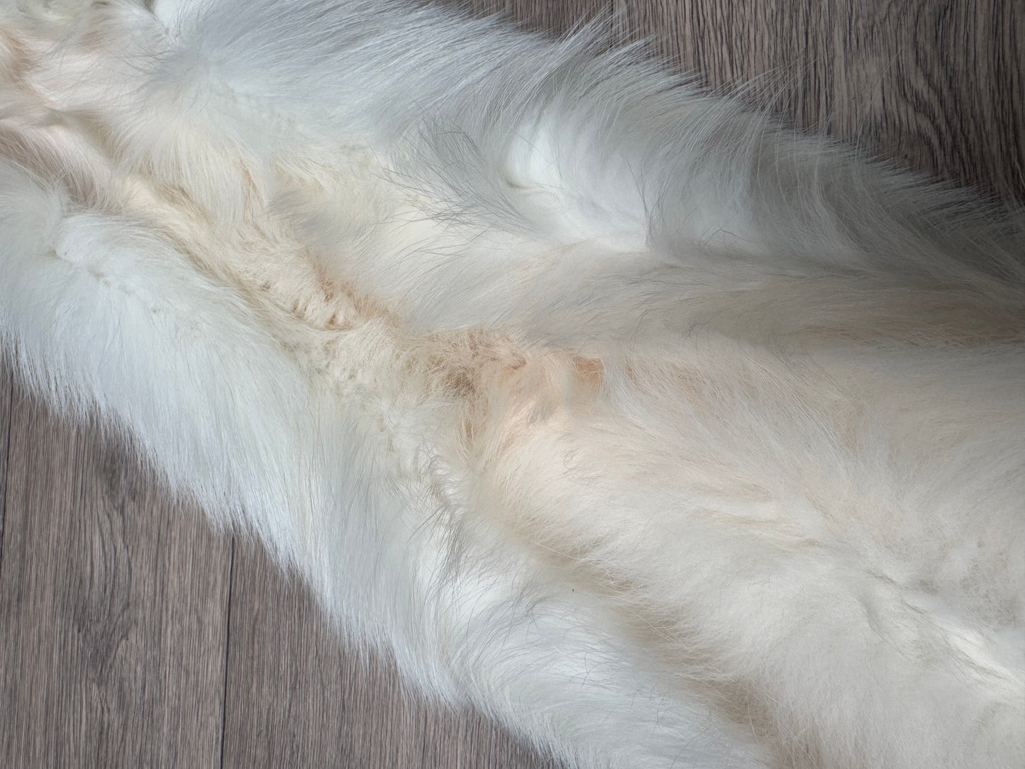 Sun Glow fox pelt (18)