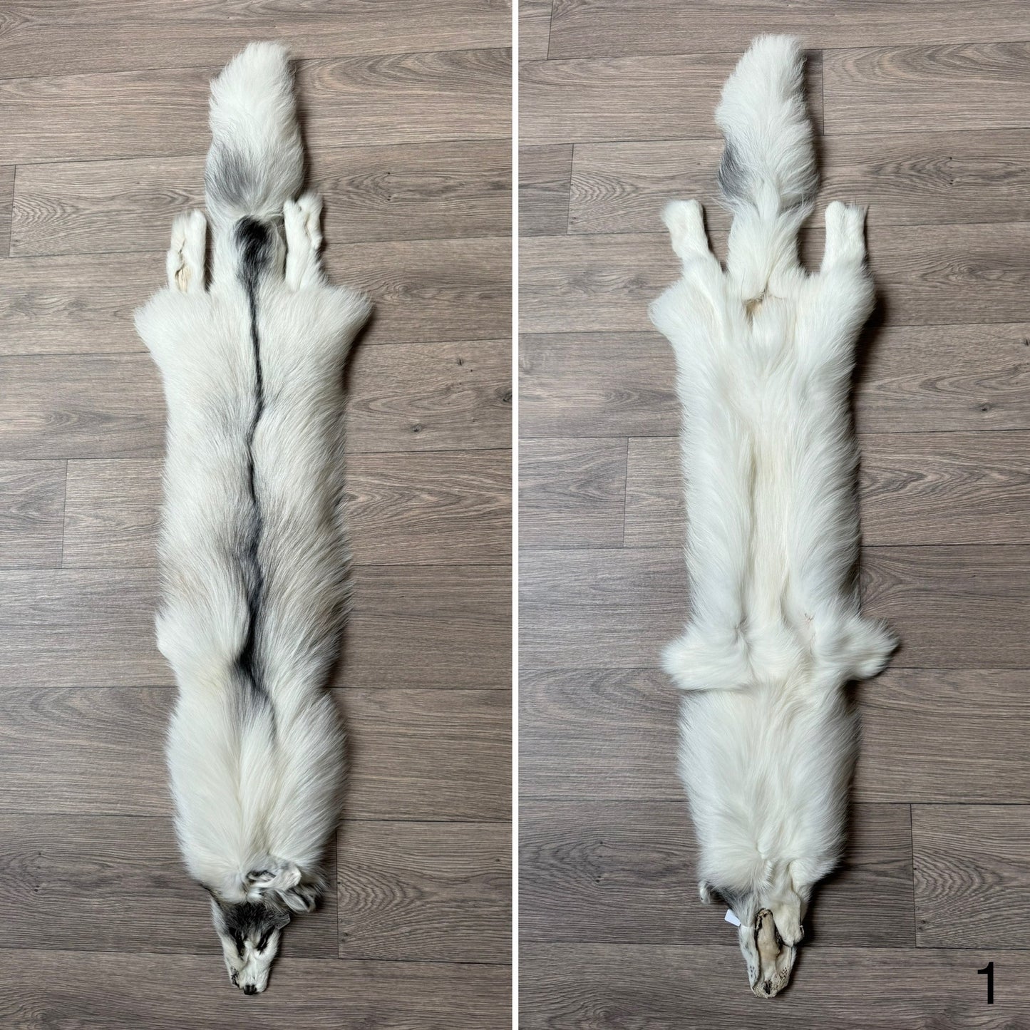 Cross Marble fox pelt (1)