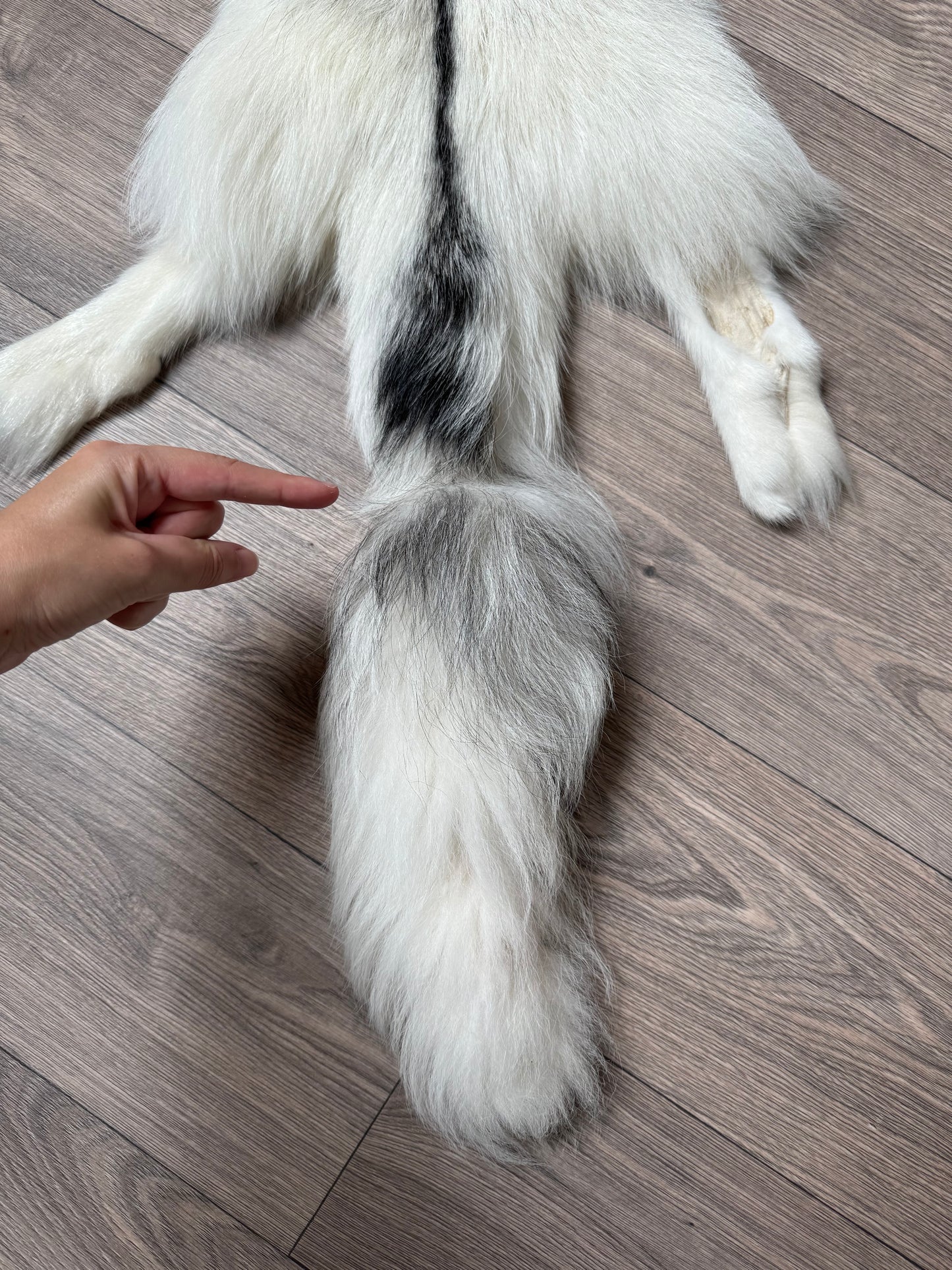 Cross Marble fox pelt (1)