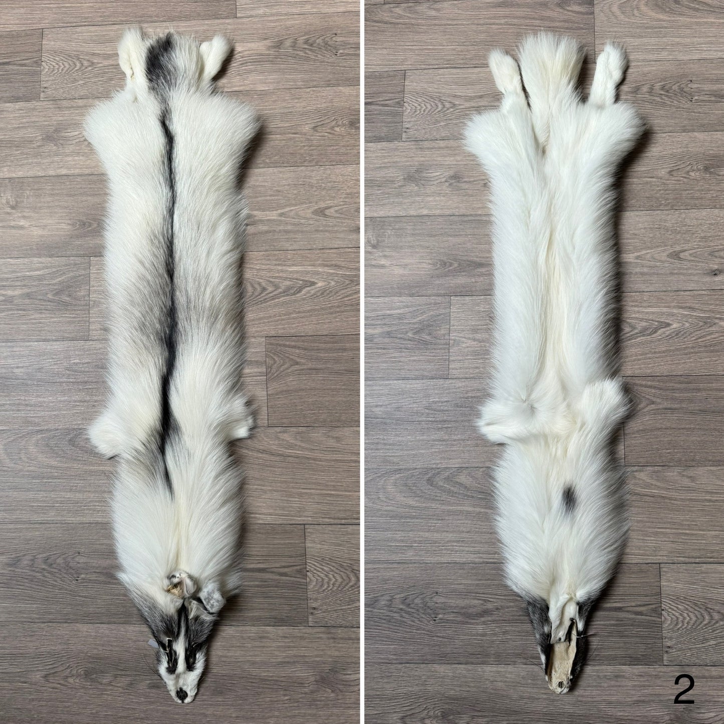 Cross Marble fox pelt (2)