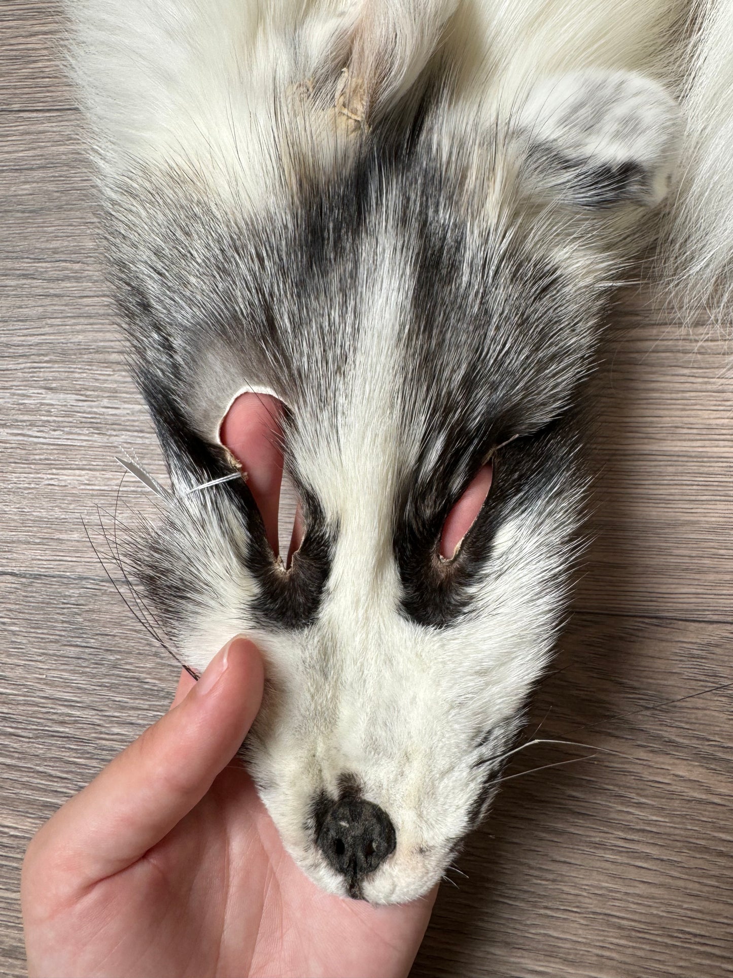 Cross Marble fox pelt (2)