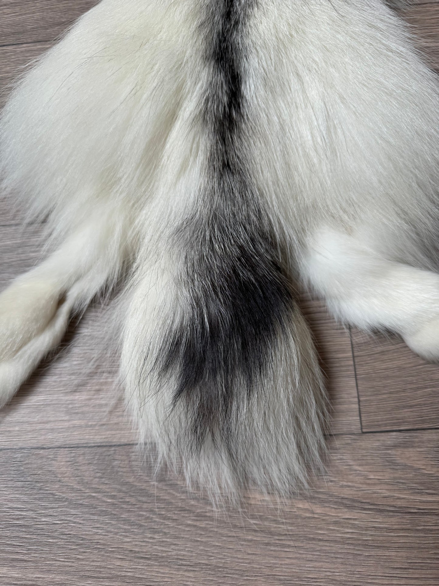 Cross Marble fox pelt (2)