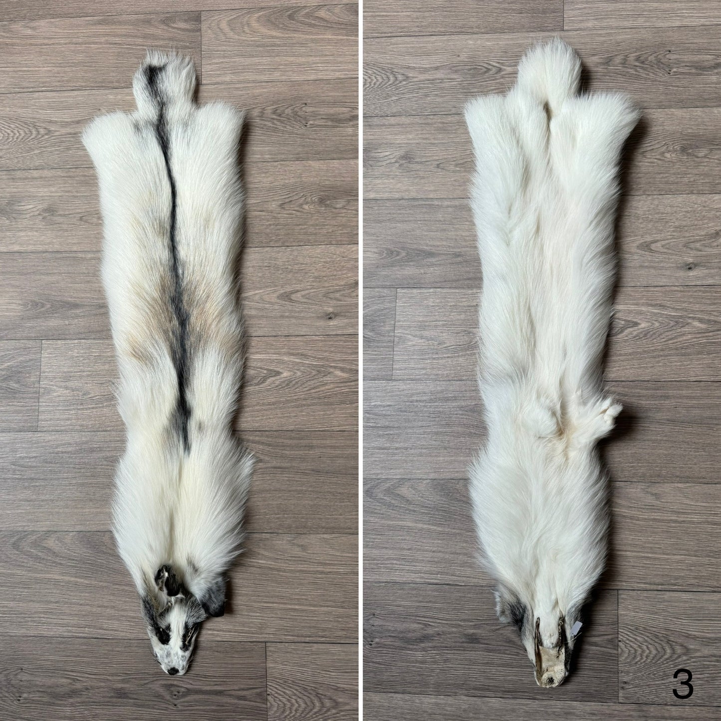Cross Marble fox pelt (3) – Orange Lion Creations