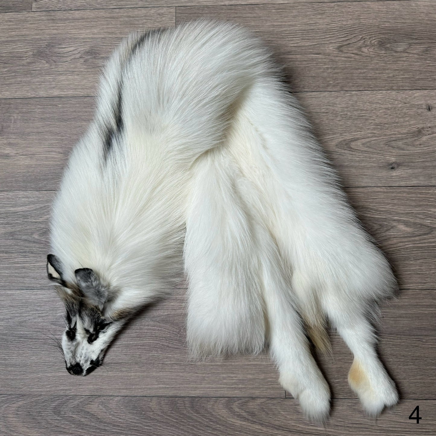 Cross Marble fox pelt (4)