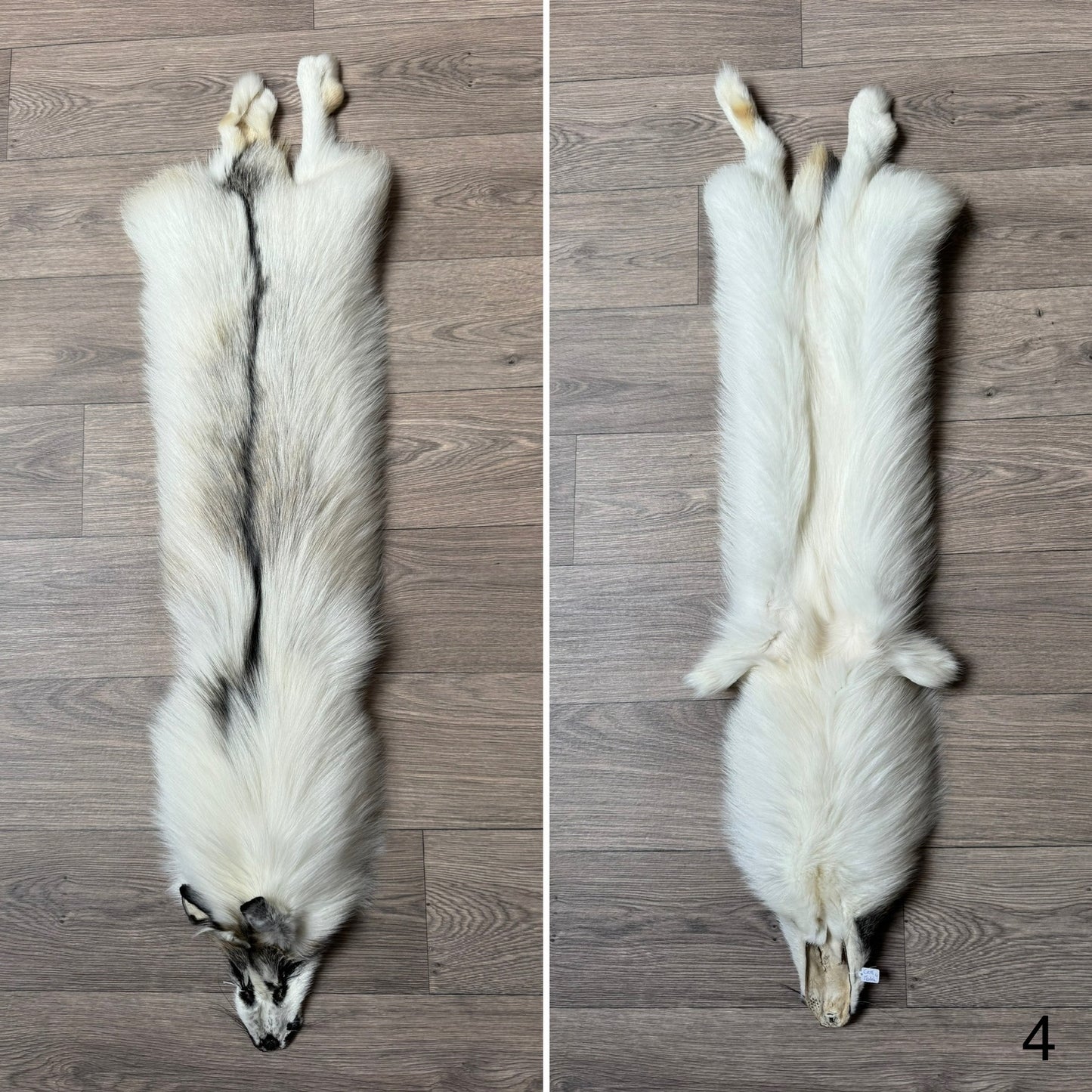 Cross Marble fox pelt (4)