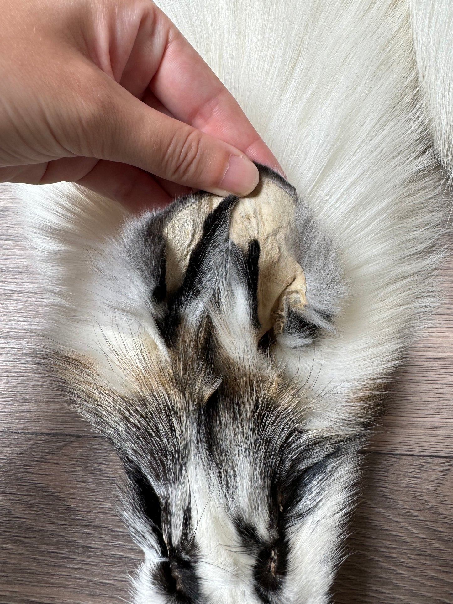 Cross Marble fox pelt (4)