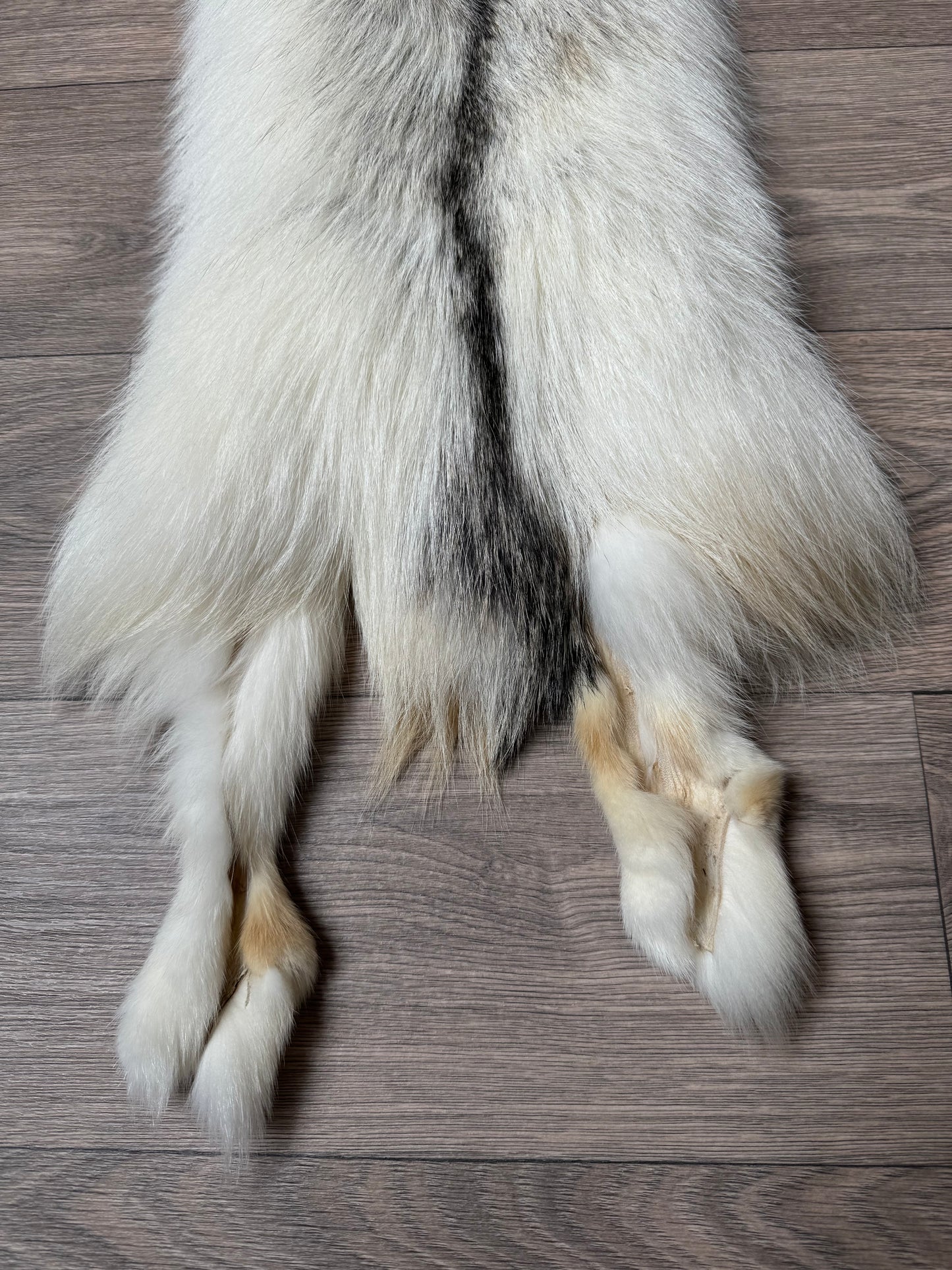 Cross Marble fox pelt (4)