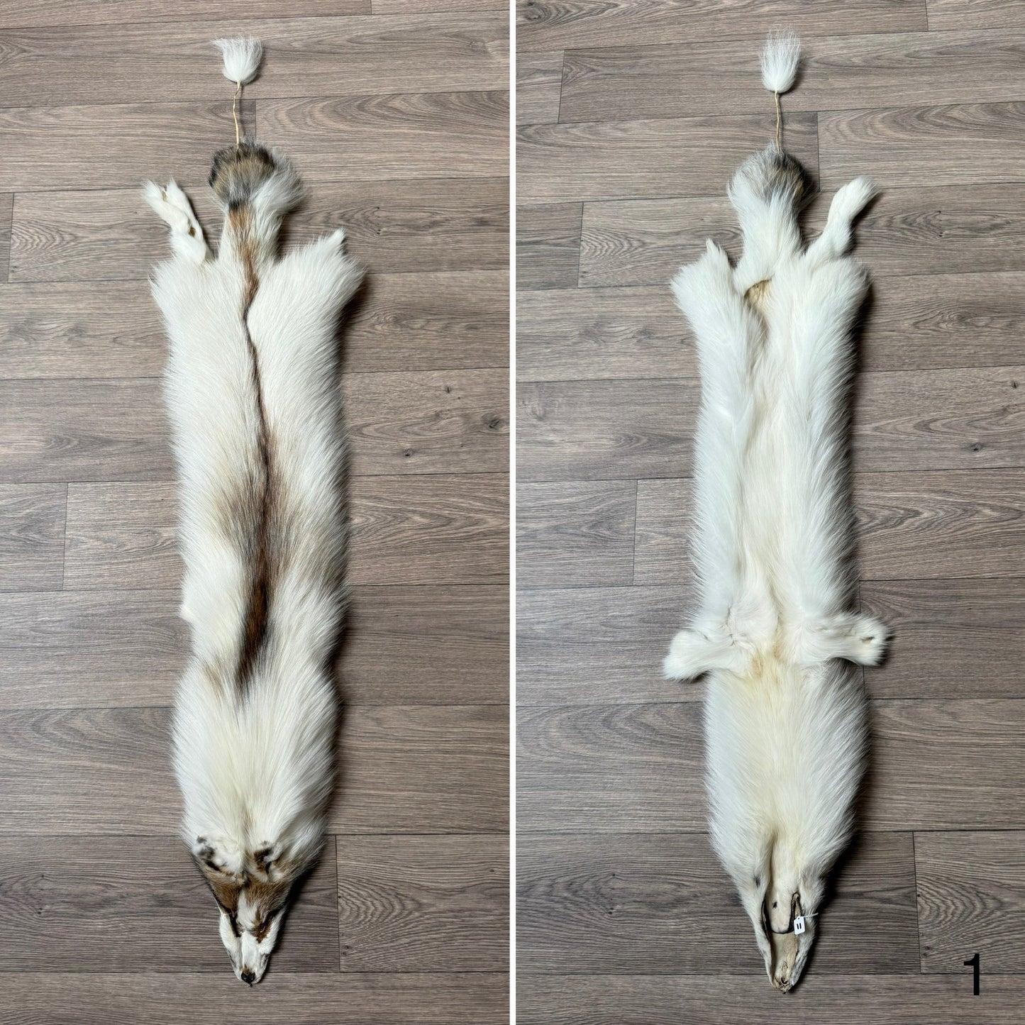 Smokey Marble fox pelt (1)