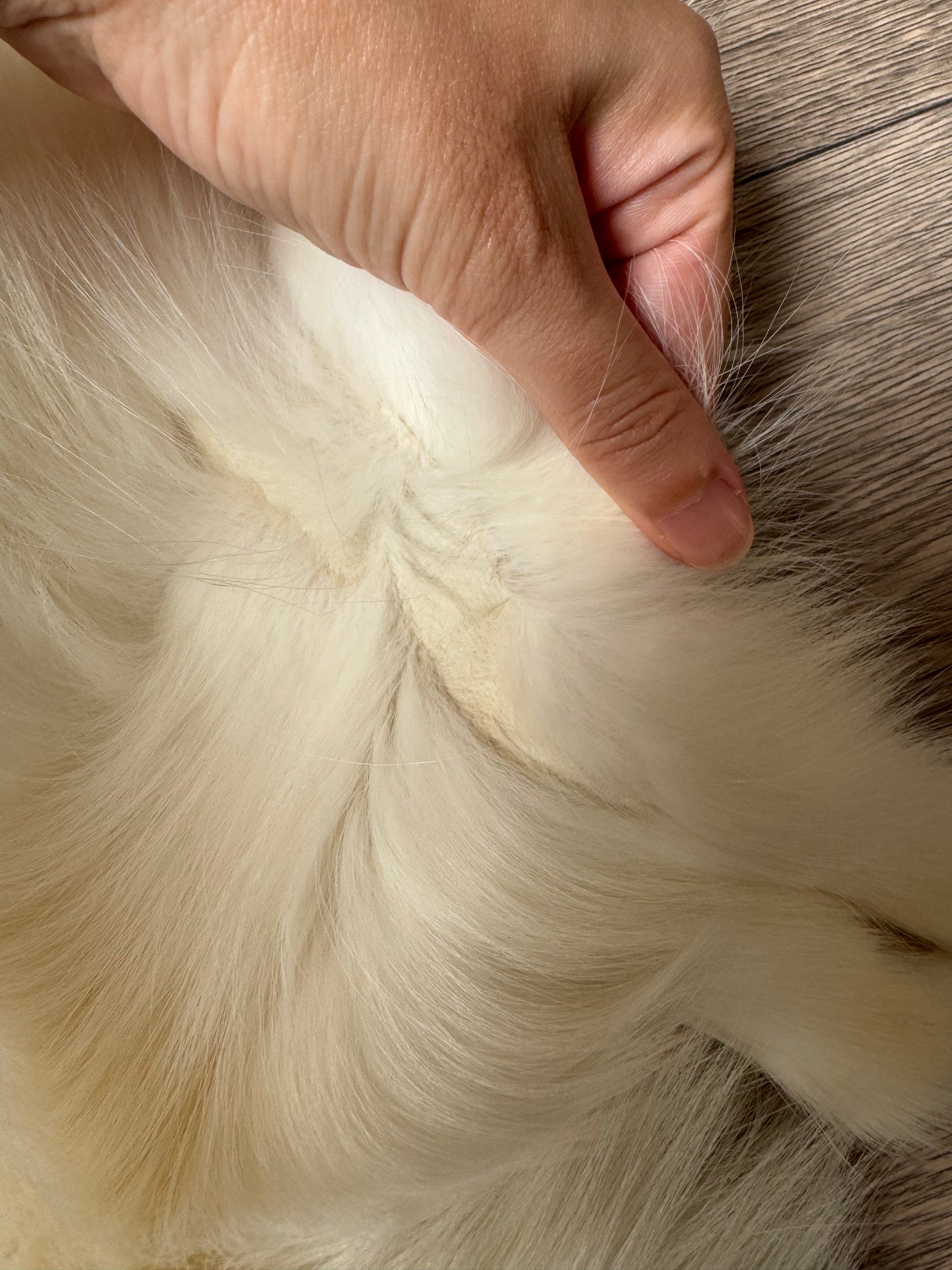 Smokey Marble fox pelt (1)