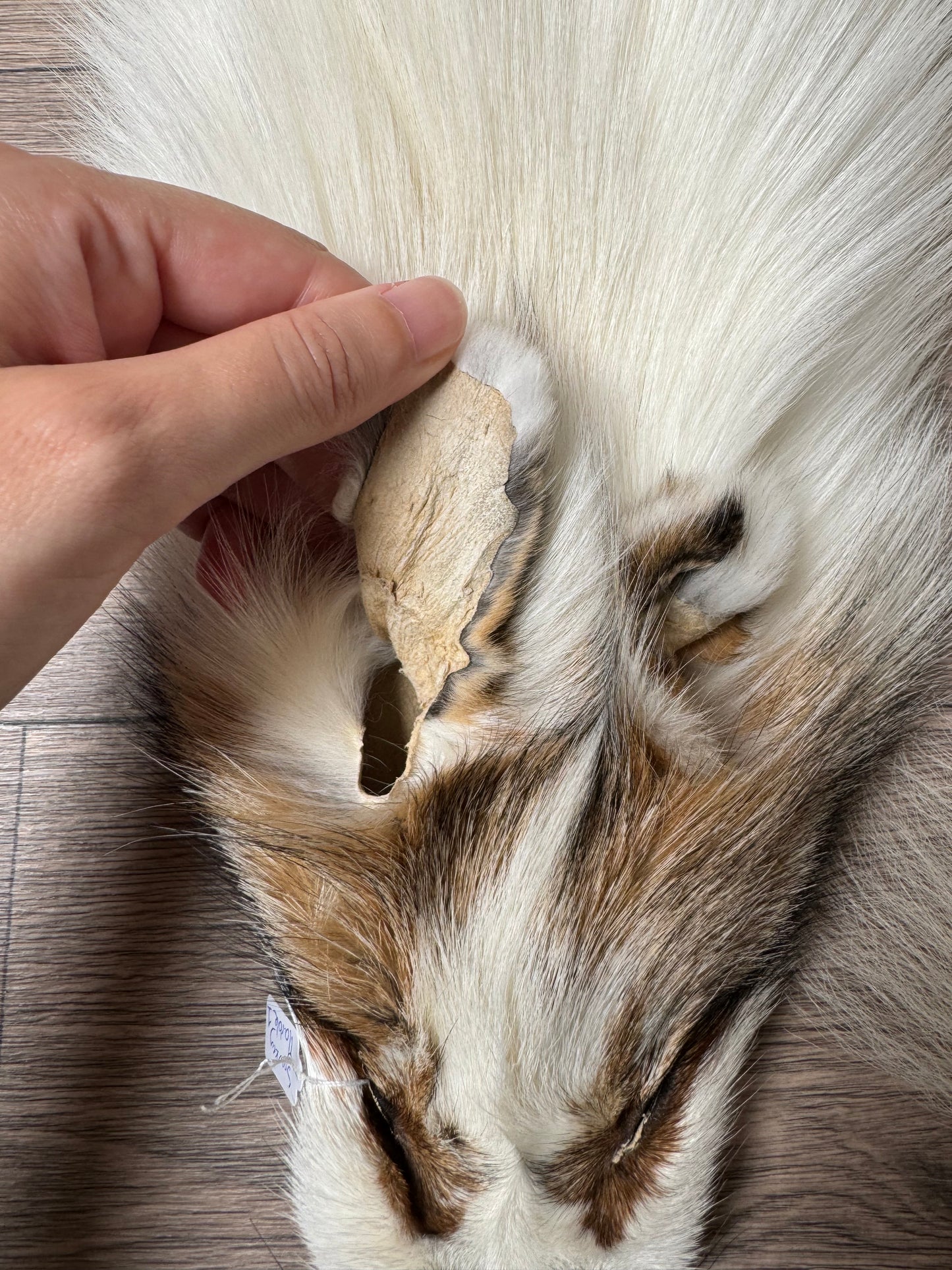 Smokey Marble fox pelt (1)