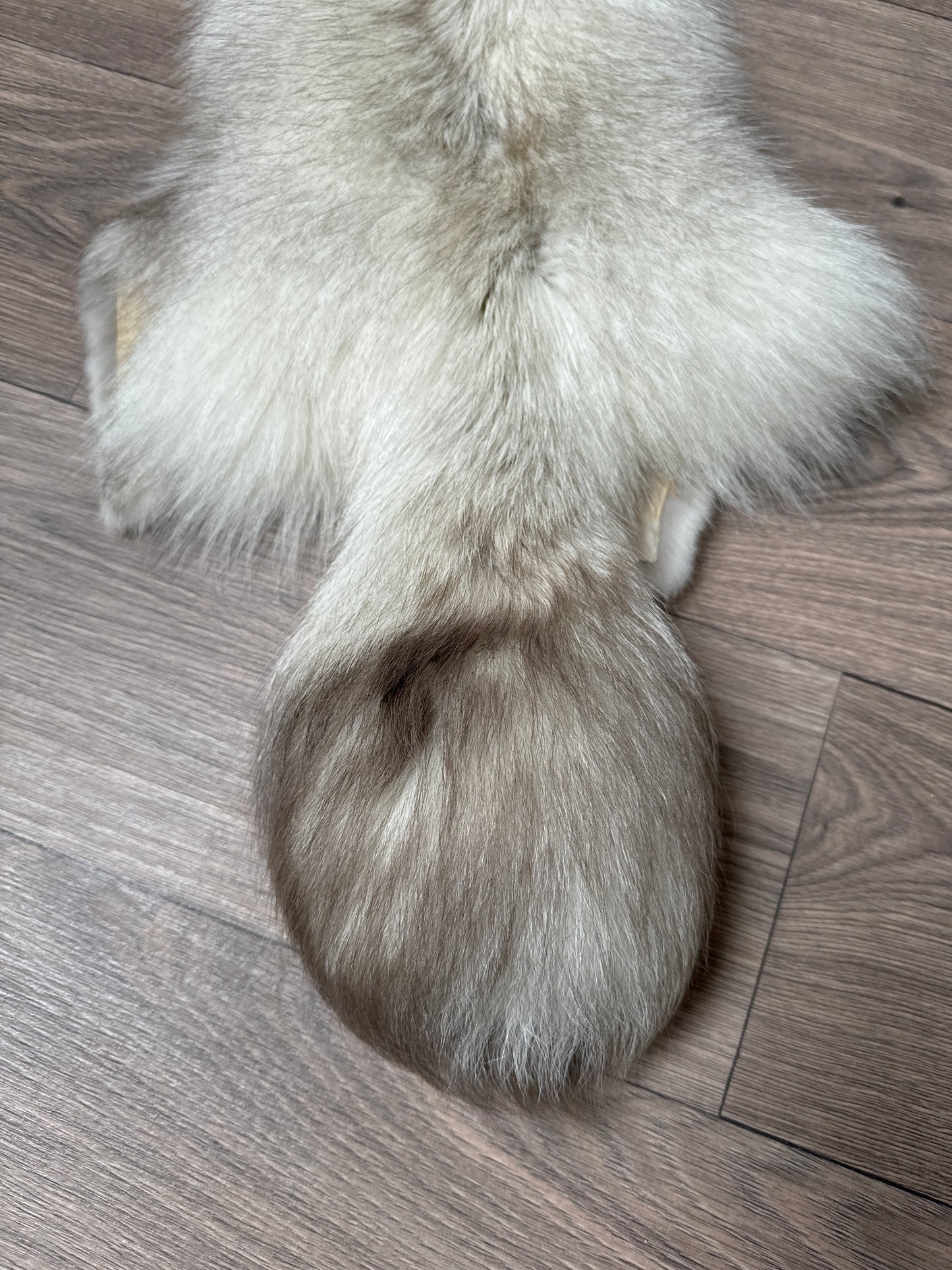 Snow Glow fox pelt (1)