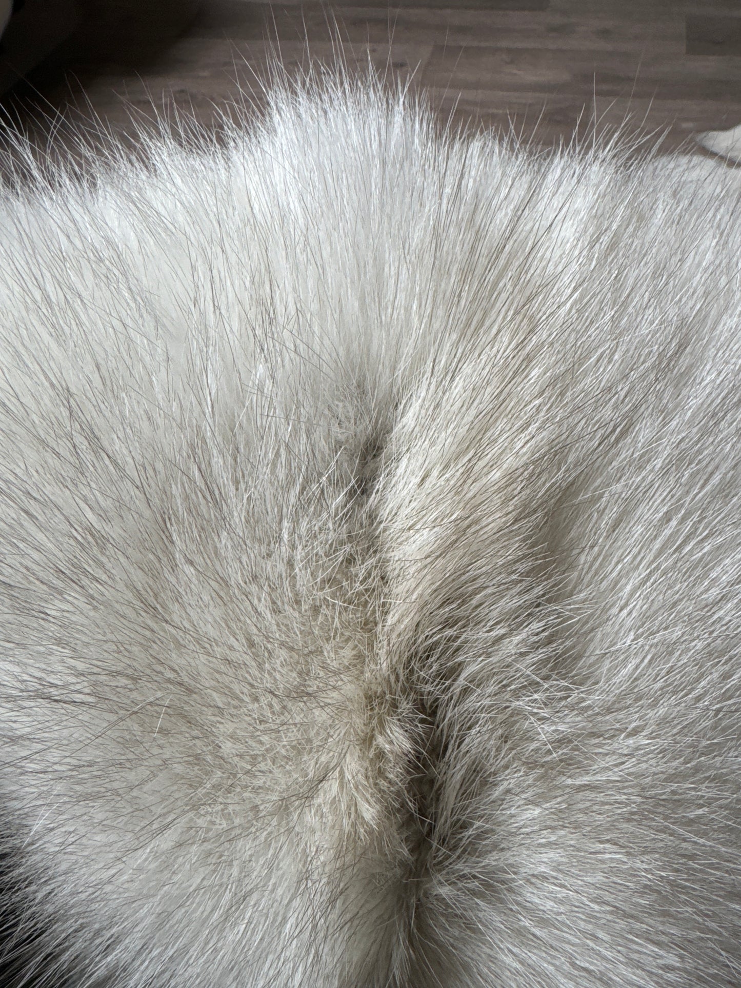 Snow Glow fox pelt (1)