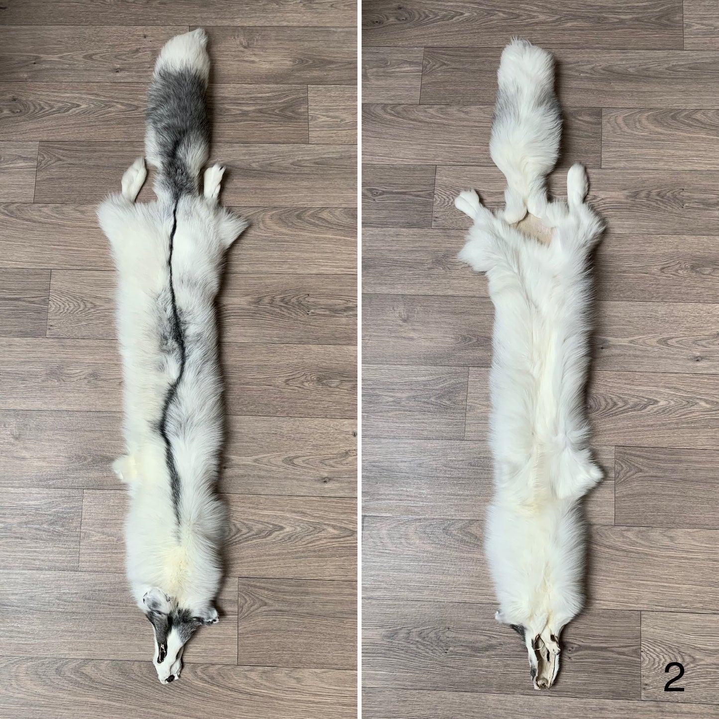 Marble Frost fox pelt (2)