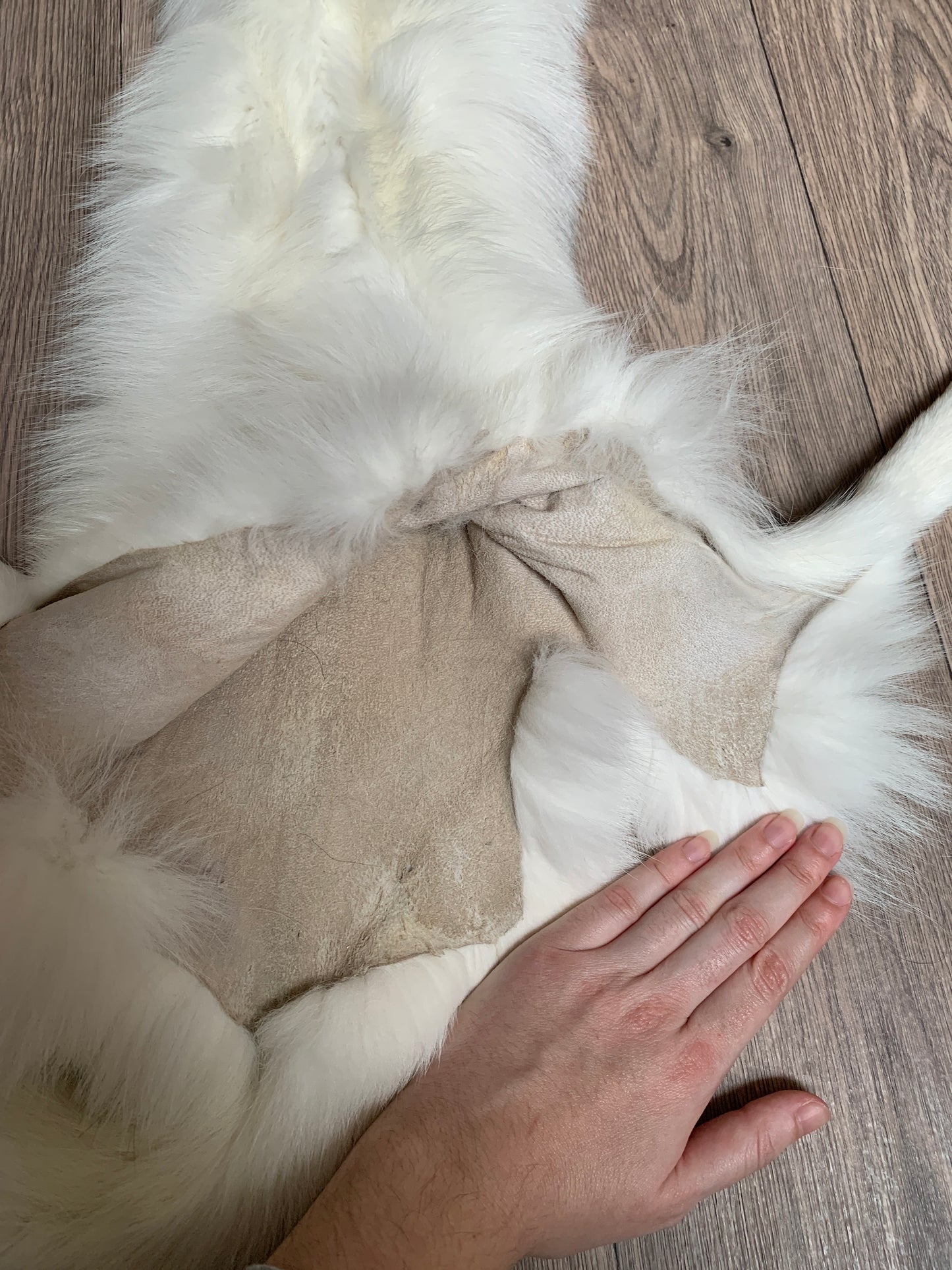 Marble Frost fox pelt (2)