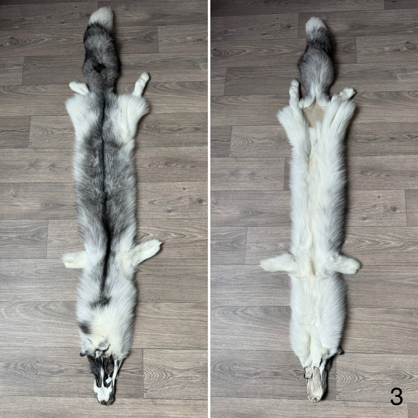 Marble Frost fox pelt (3)