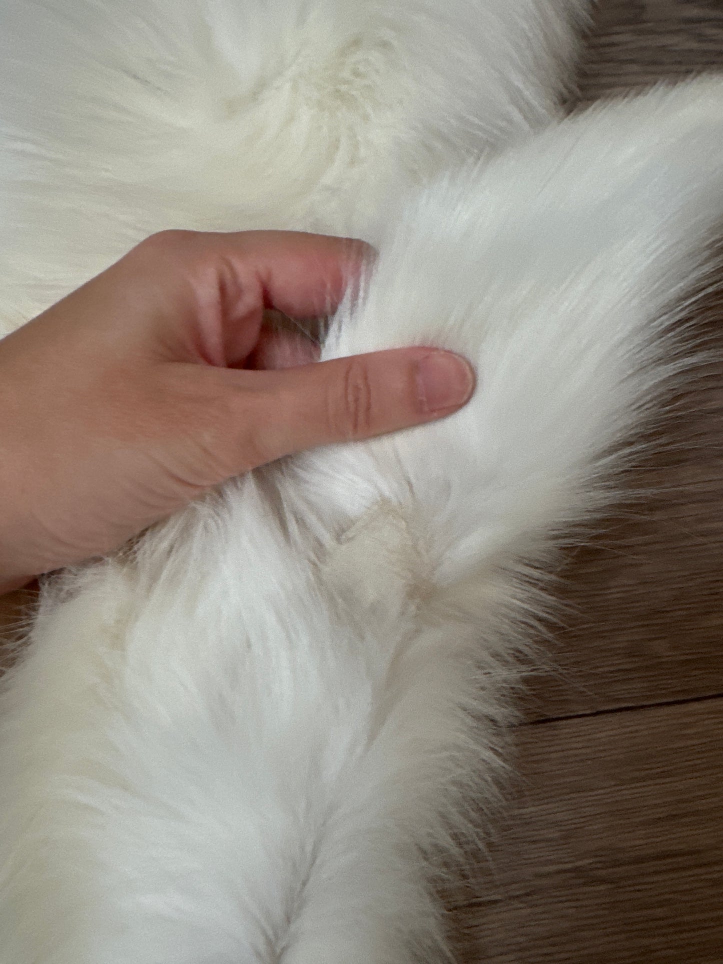 Marble Frost fox pelt (3)