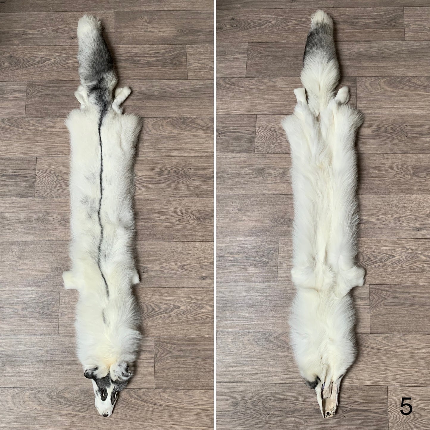 Marble Frost fox pelt (5)