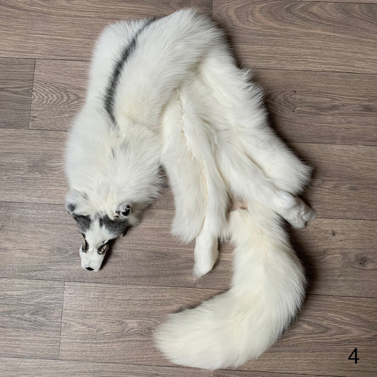 Marble Frost fox pelt (4)