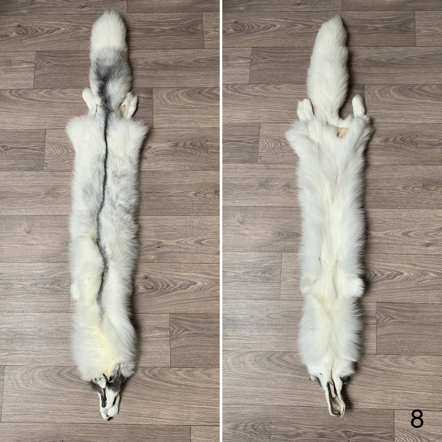 Marble Frost fox pelt (8)