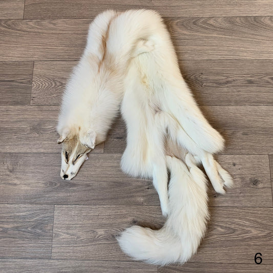 Arctic Golden Island fox pelt (6)