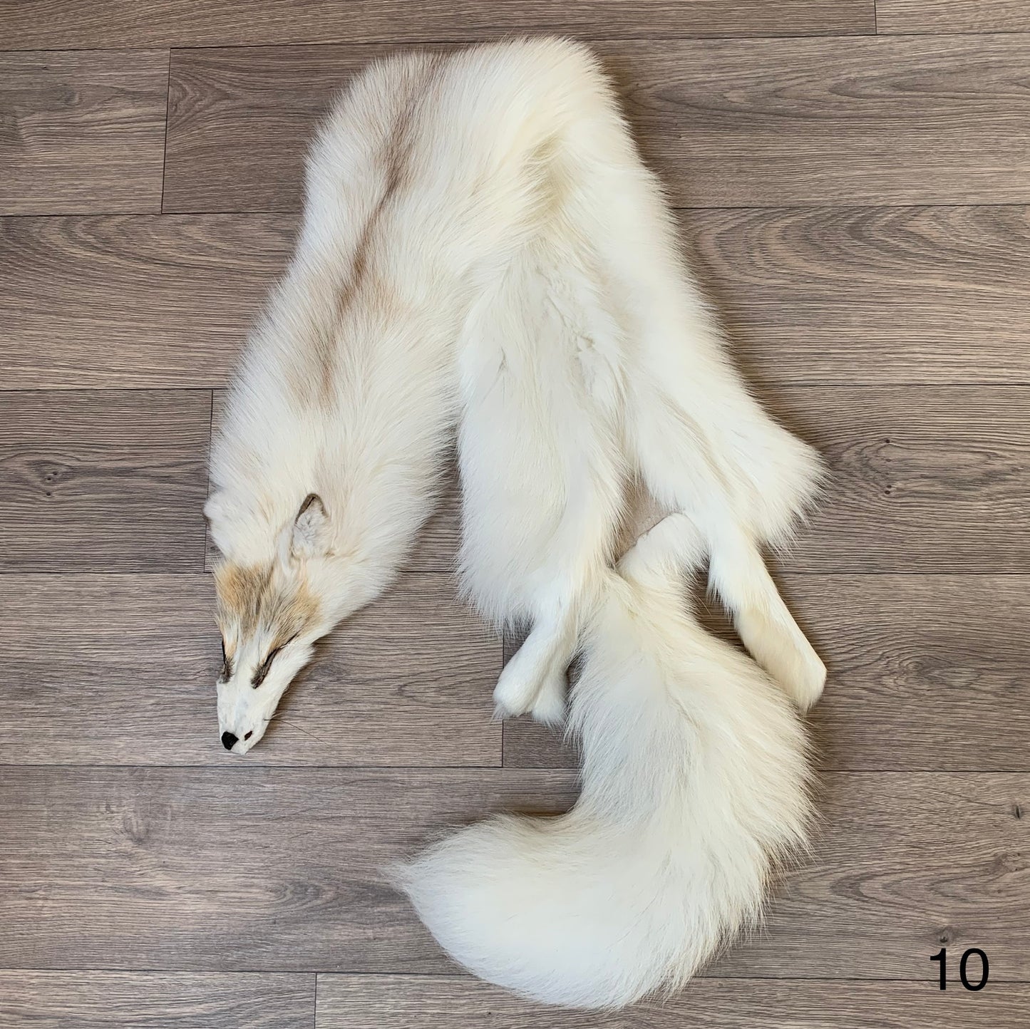 Arctic Golden Island fox pelt (10)