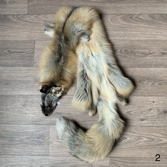 Alaska Golden Island fox pelt (2)