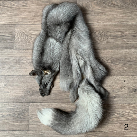 Sapphire Frost fox pelt (2)