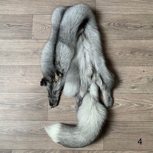 Sapphire Frost fox pelt (4)