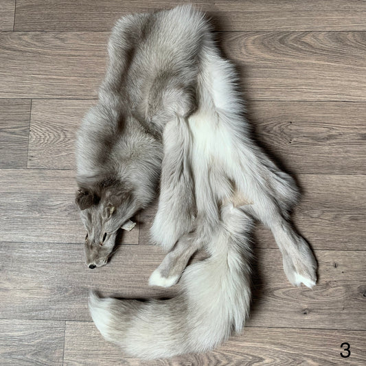 Lavender Frost fox pelt (3)