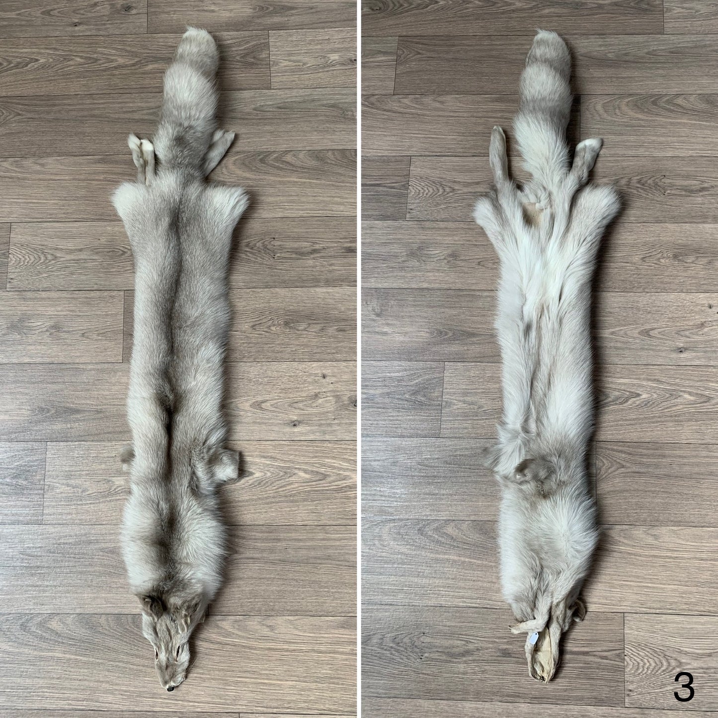 Lavender Frost fox pelt (3)