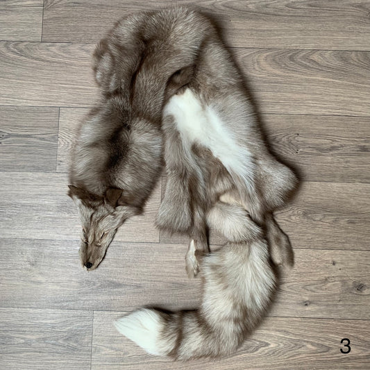 Amber Frost fox pelt (3)