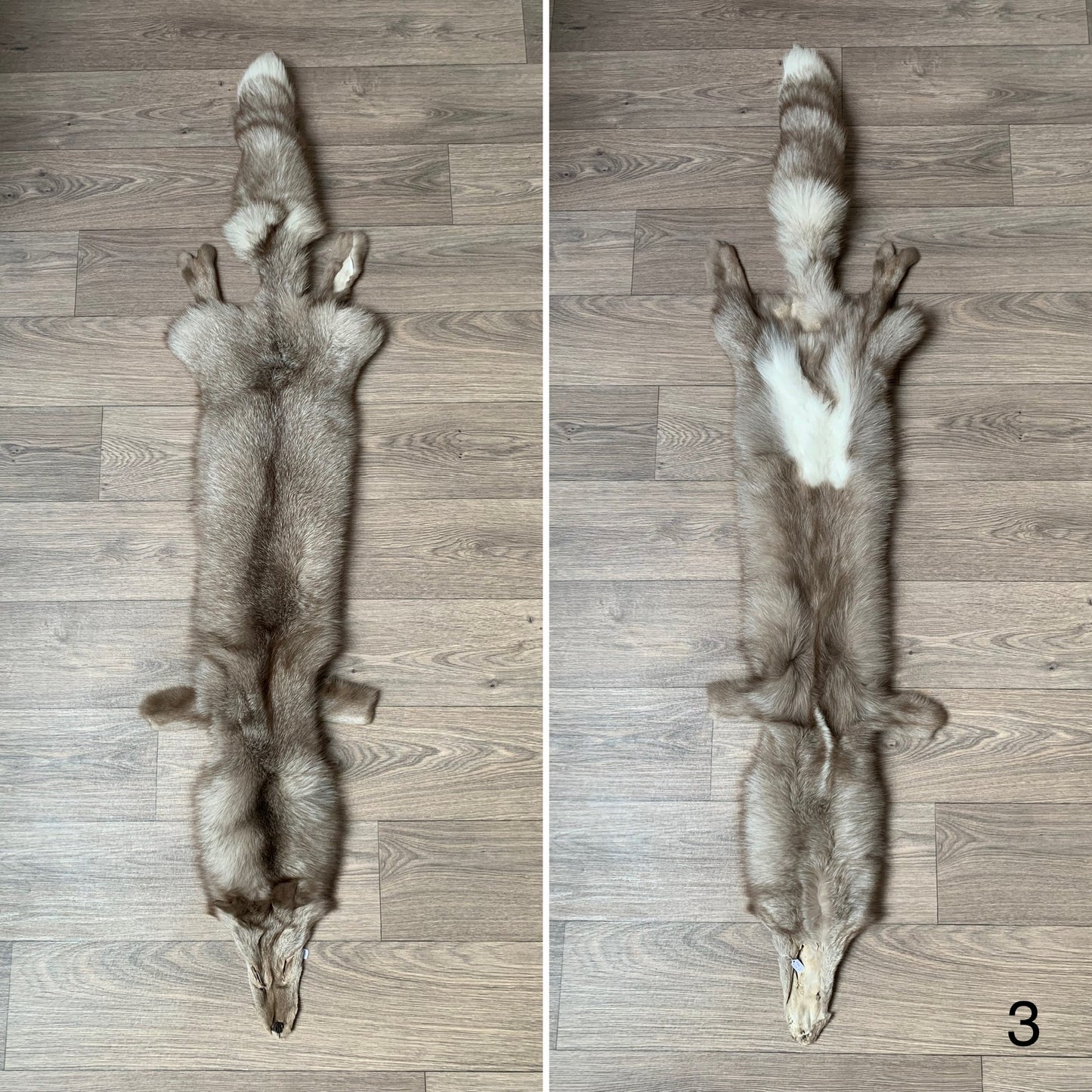 Amber Frost fox pelt (3)