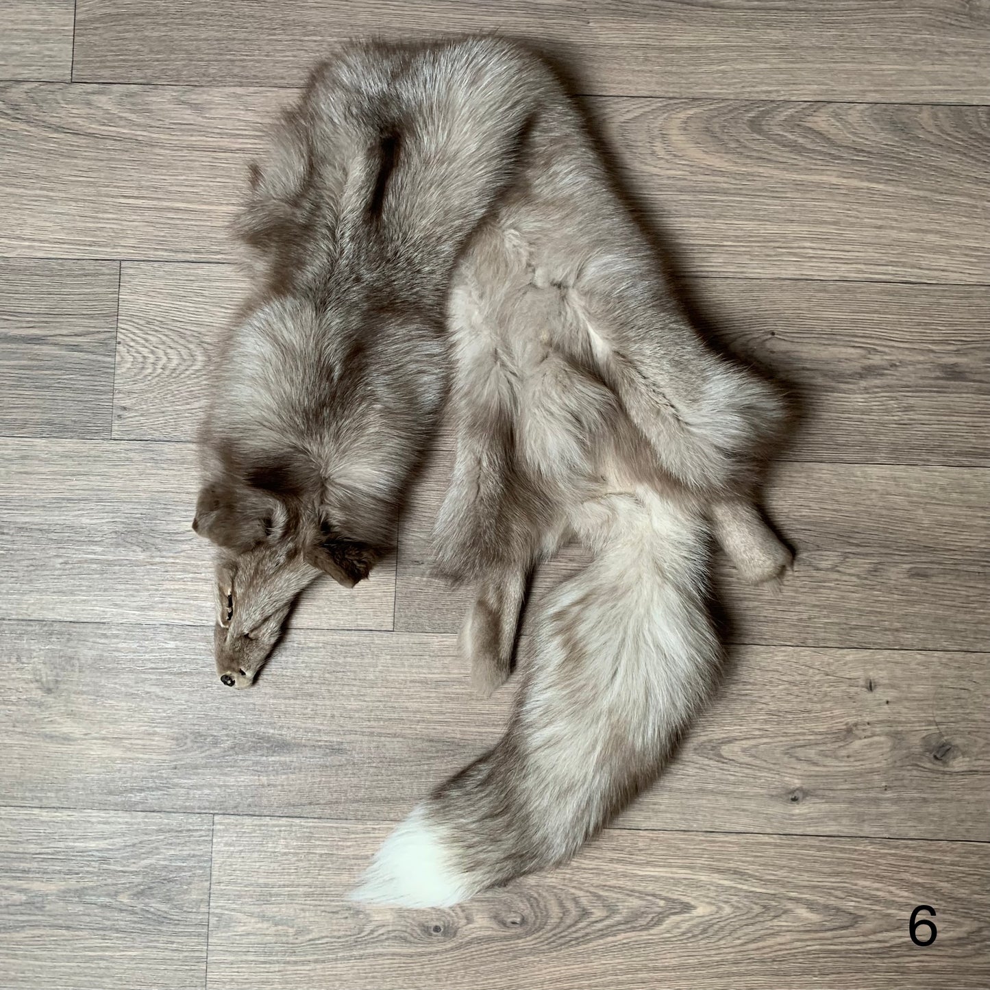 Amber Frost fox pelt (6)