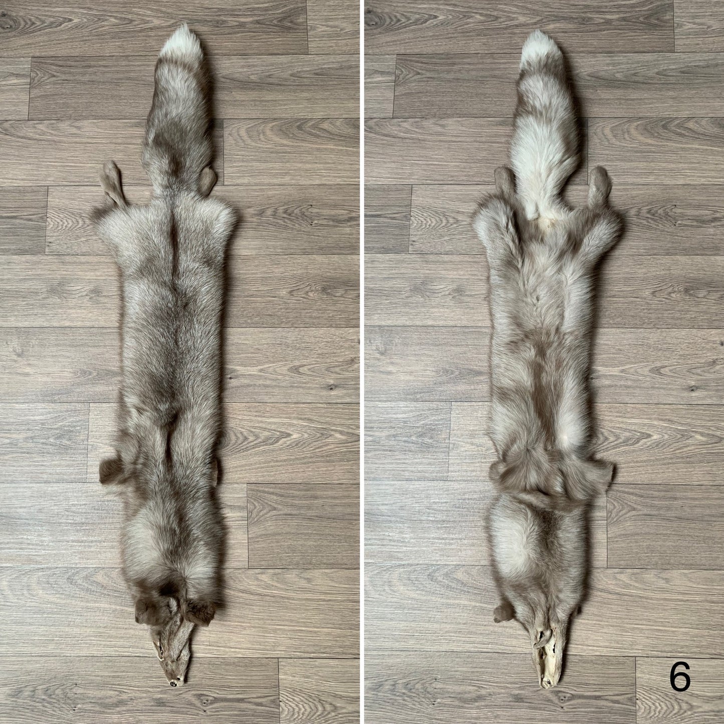 Amber Frost fox pelt (6)