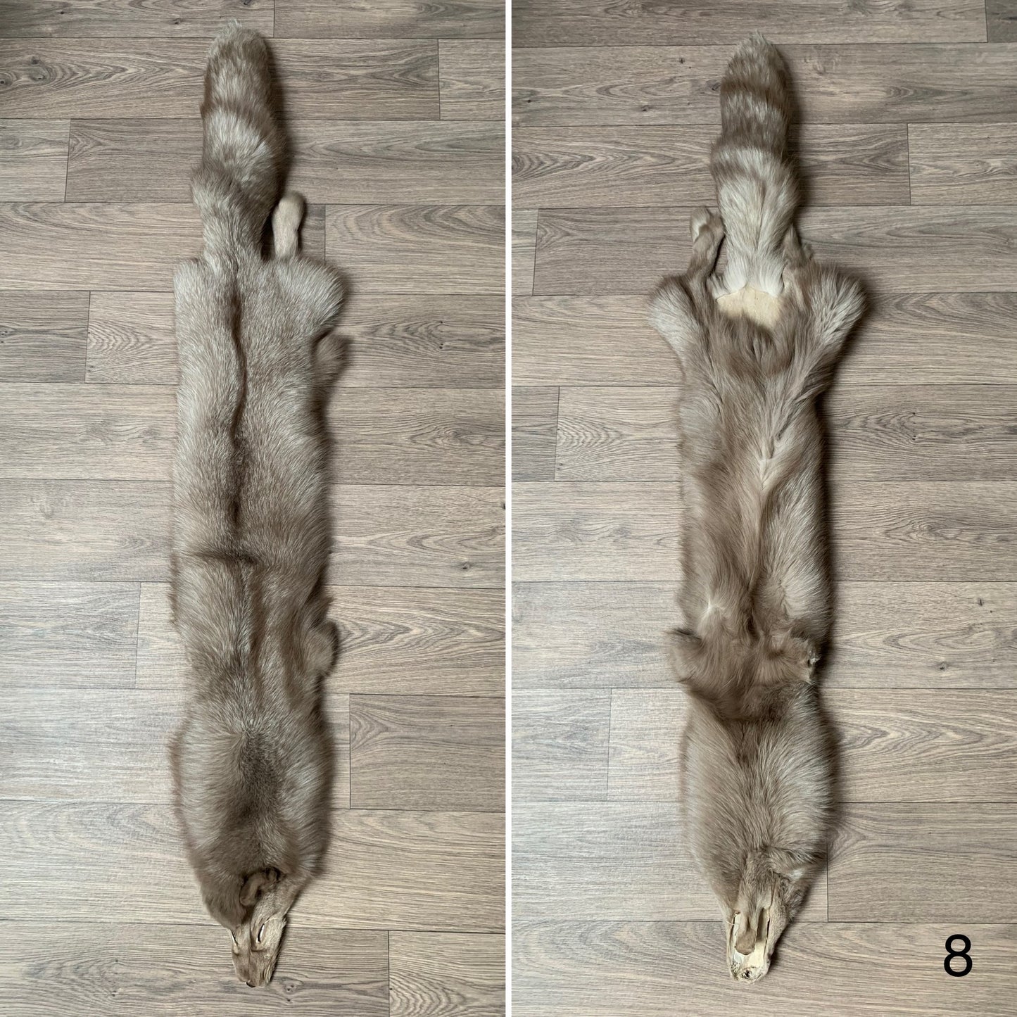 Amber Frost fox pelt (8)