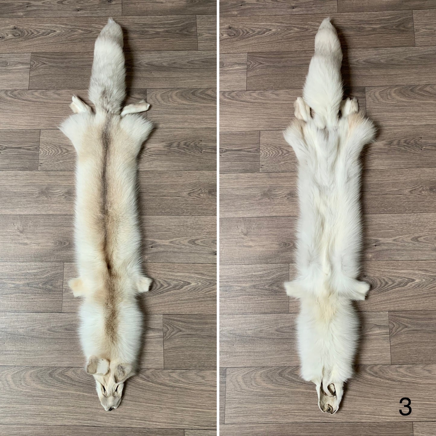 Apricot Frost fox pelt (3)