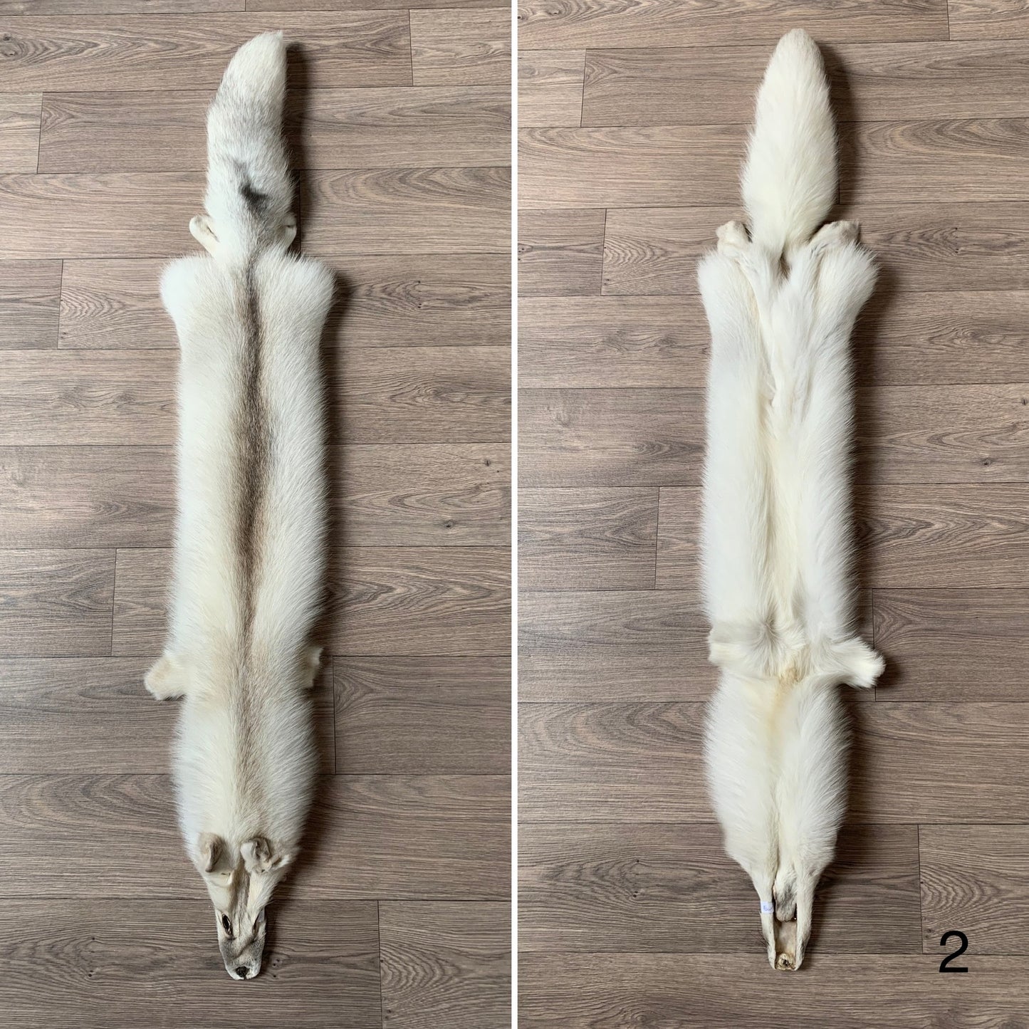 Fawn Light Brown fox pelt (2)
