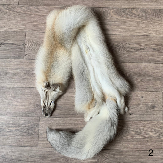 Fawn Light Red fox pelt (2)