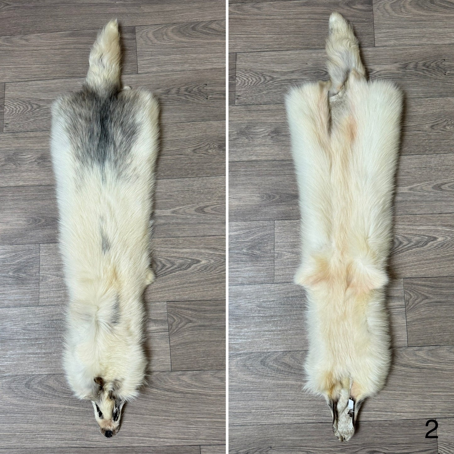 Marble tanuki pelt (2)