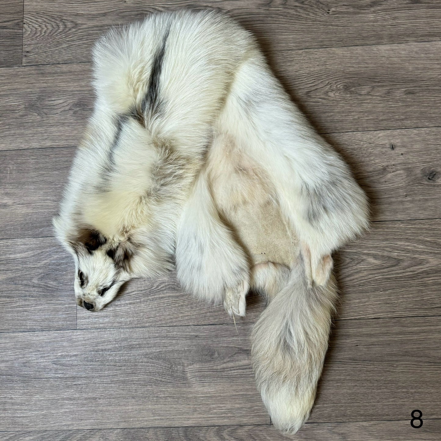 Marble tanuki pelt (8)