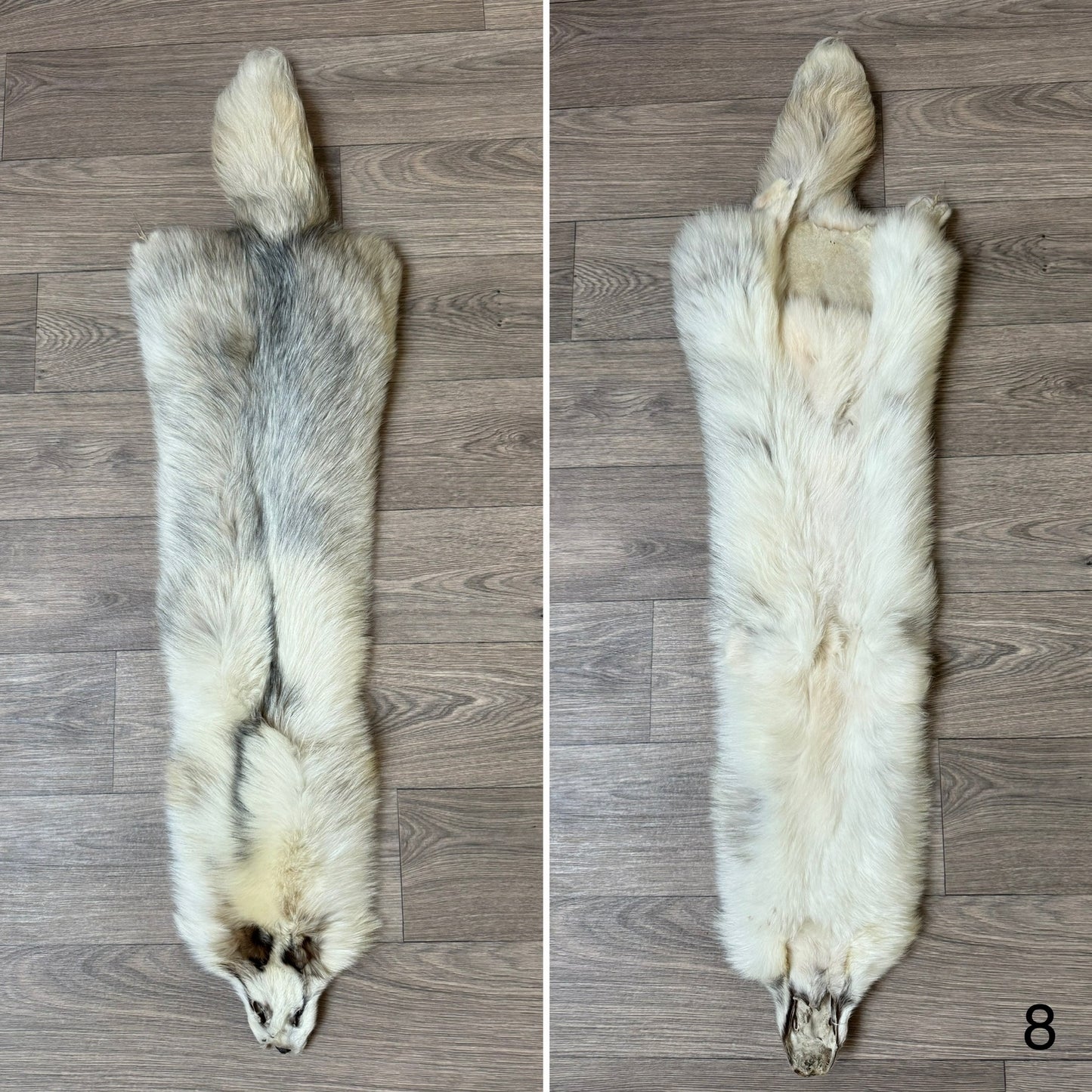 Marble tanuki pelt (8)