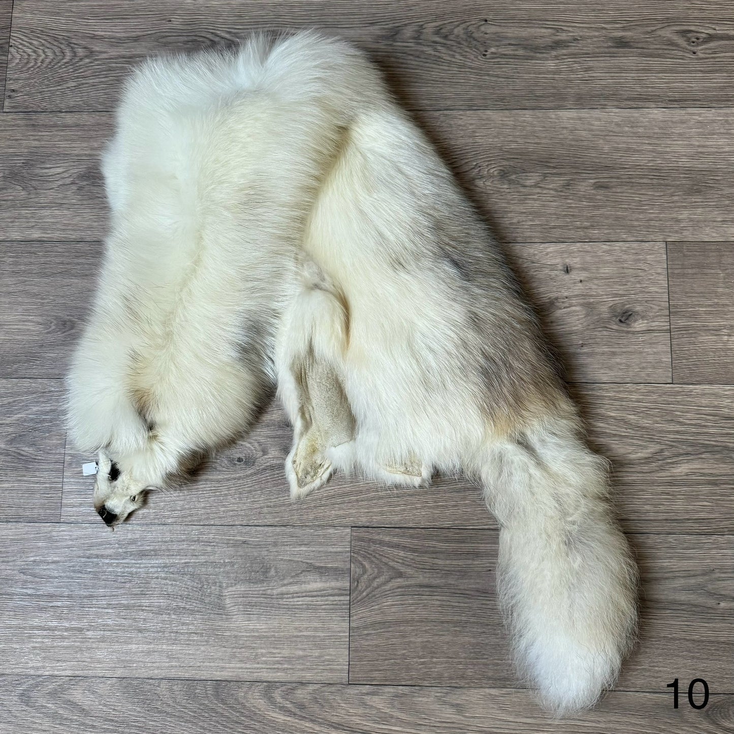 Marble tanuki pelt (10)