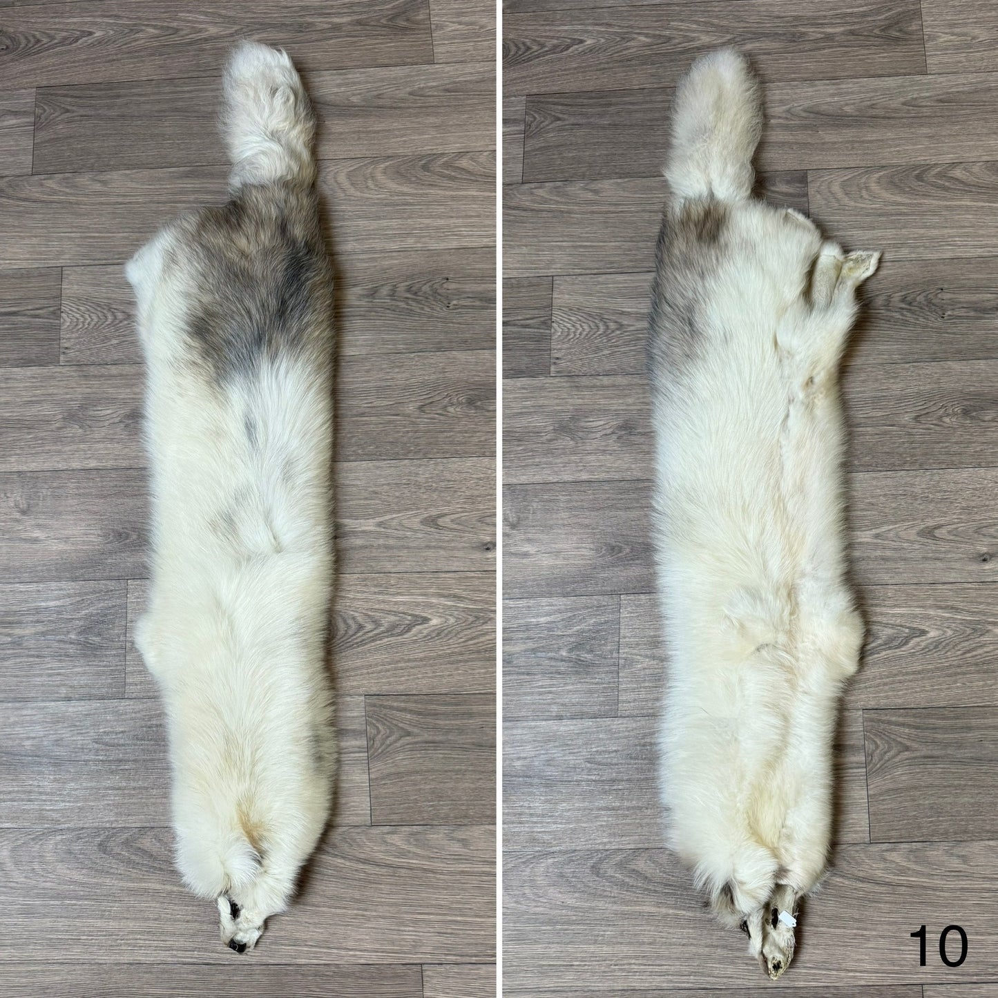 Marble tanuki pelt (10)