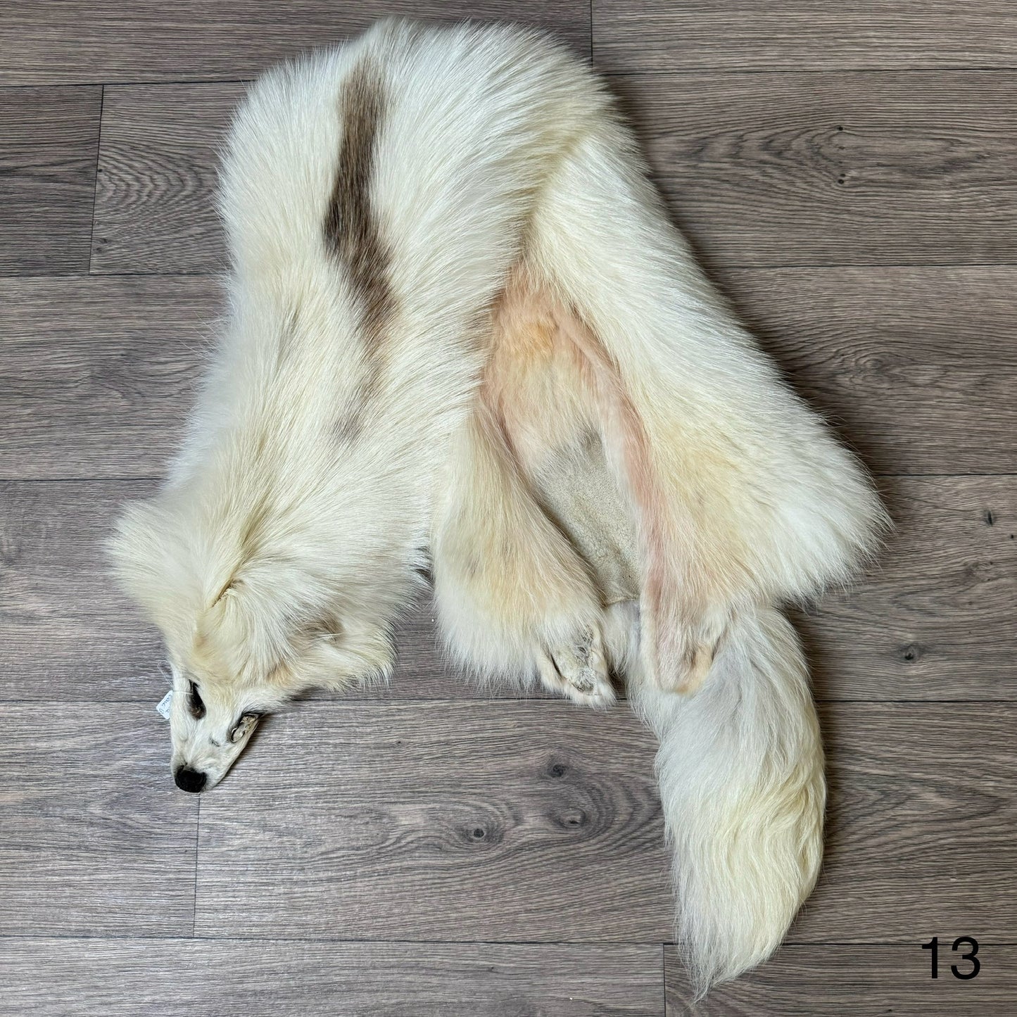 Marble tanuki pelt (13)