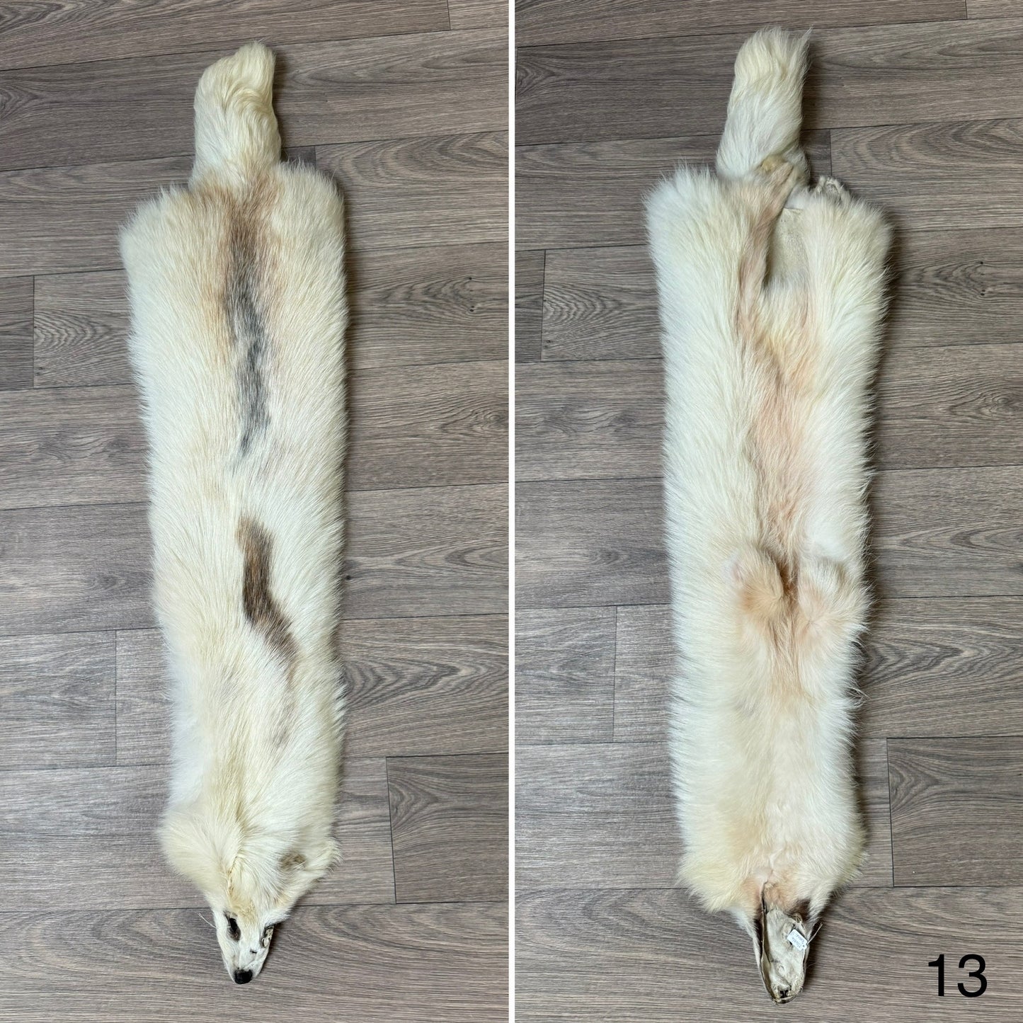 Marble tanuki pelt (13)